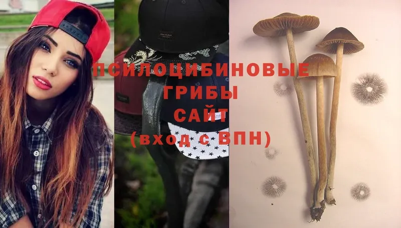 Галлюциногенные грибы Cubensis  Минусинск 